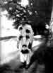 My Gallery: Image