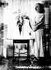 My Gallery: Image