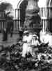 My Gallery: Image