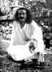 My Gallery: Image
