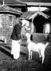 My Gallery: Image