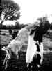 My Gallery: Image