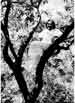 My Gallery: Image