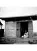 My Gallery: Image