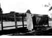 My Gallery: Image