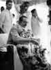 My Gallery: Image