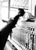 My Gallery: Image