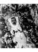 My Gallery: Image