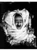 My Gallery: Image